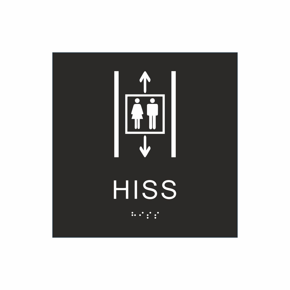 Svart och vit hisskylt med piktogram av två personer i en hiss med upp- och nedåtpilar ovanför och under symbolen, texten hiss står under symbolen och punktskrift längst ned