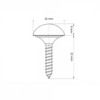 Skruv med täckhatt, mattborstad nickel - Thumbnail Image 3